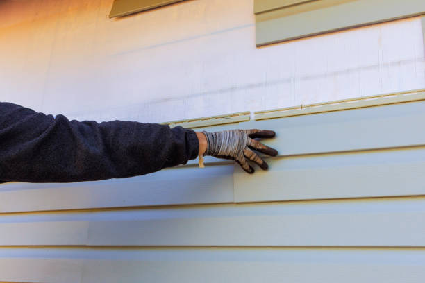 Trusted Murphys Estates, SC Siding Experts